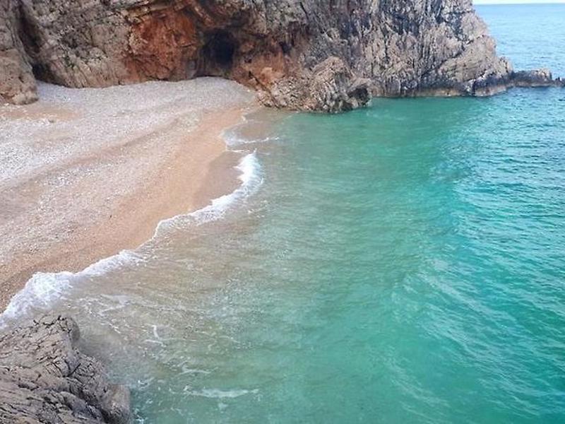 C516DCF88DDB8D12DA5853583D119610