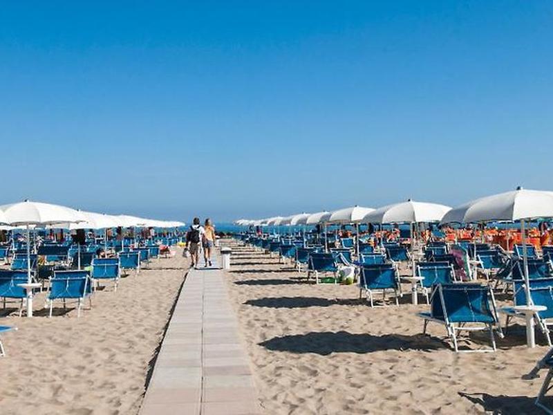 AE5D017580E5DC7254CC8D395C4B5EA8