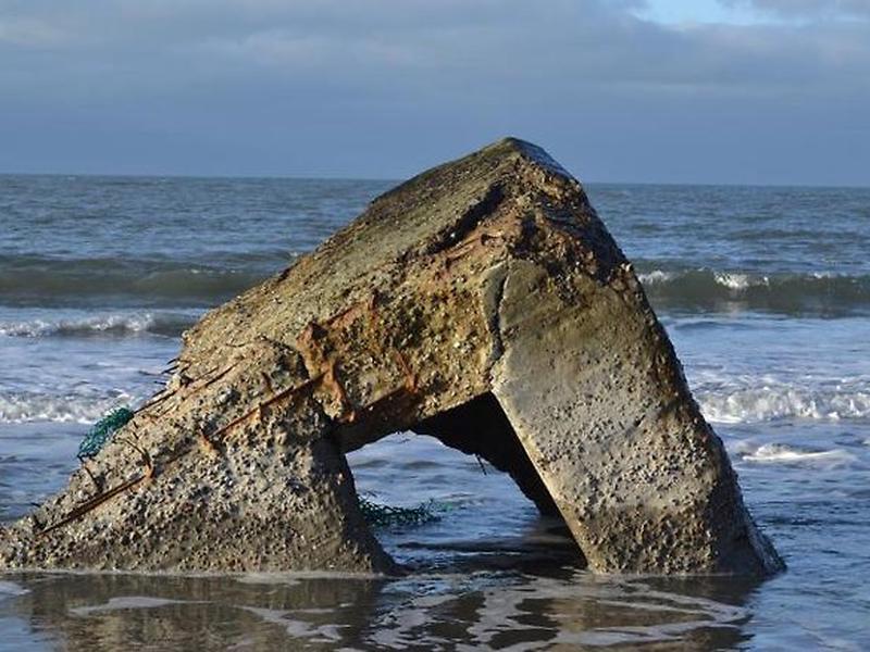 BF5662D2C1AAE7F9FB73DD970D044E30