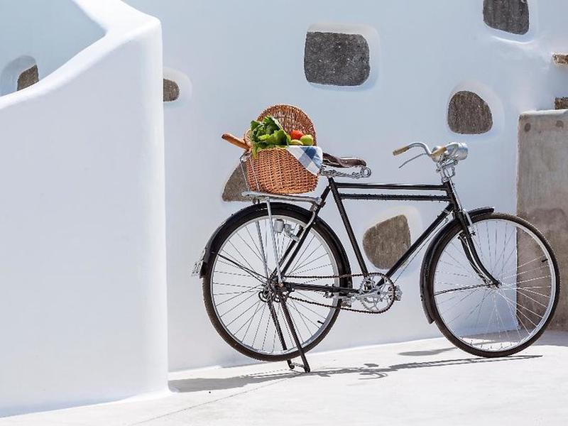 4C53C4A168DCF07DFAC5D1E383B79A8A