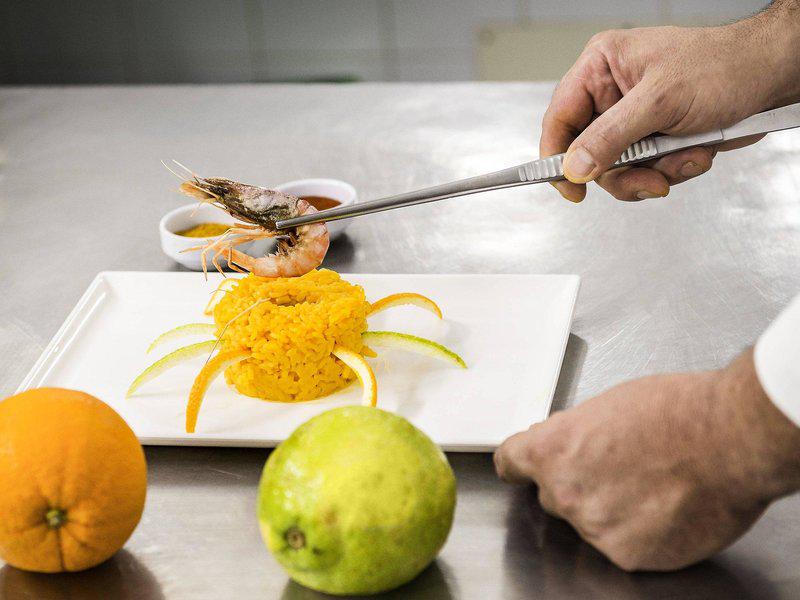 A561682F1A98CC8E016C28D478791E86