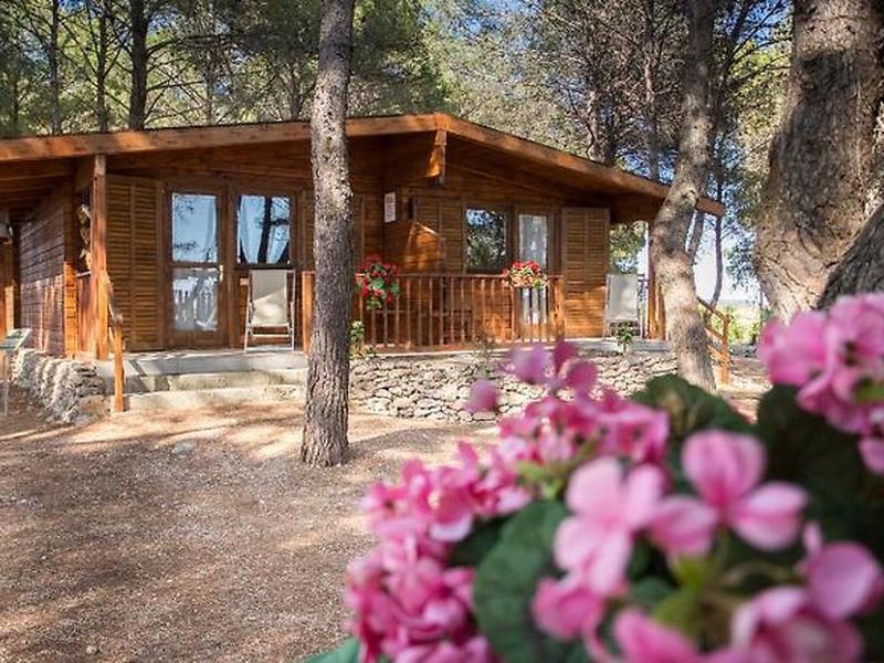 4F351BFB4D541D9630F58DCE7FD3FAD1