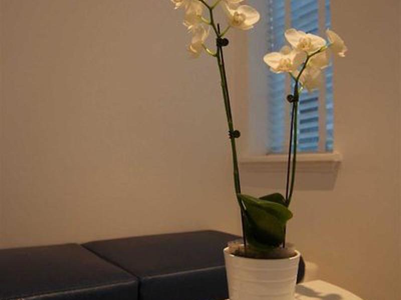 50B3D374EBA14CA3A610B72971A85DF9