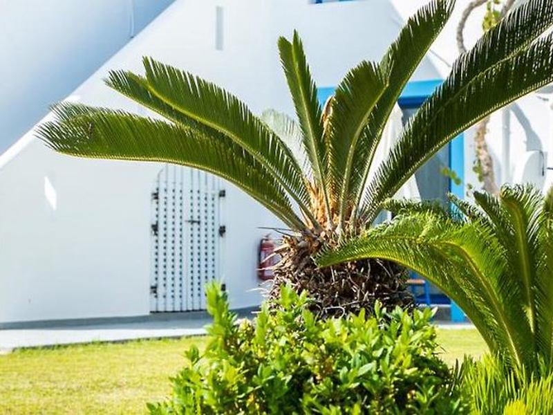 8AD02AC872F72D7CD84ECFAA3310BC0B