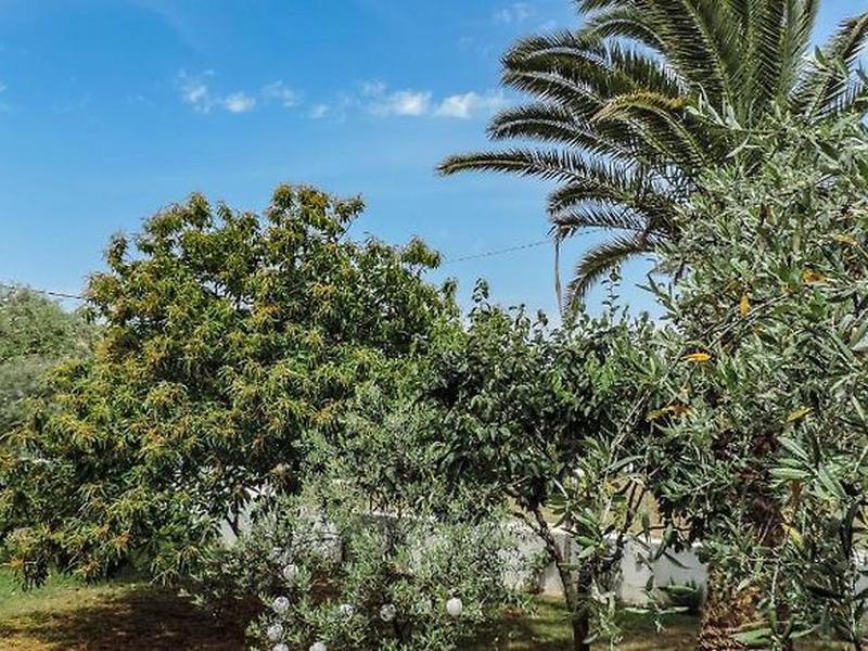 4D0C77DFAF62FAC1BBAB0A102450F75C