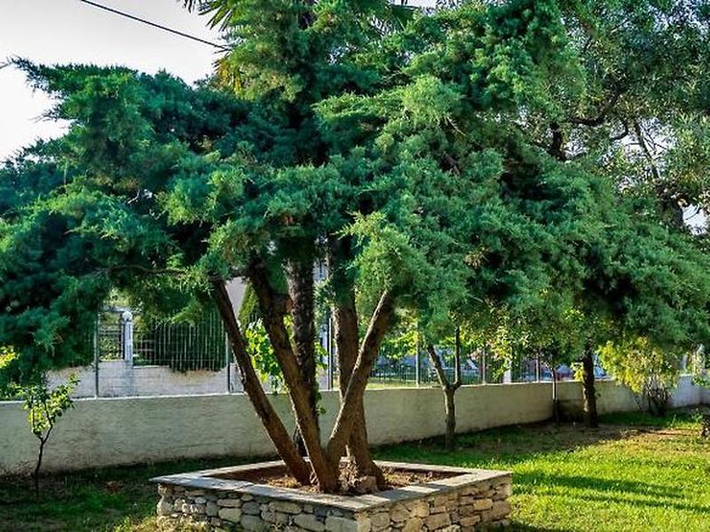 4512DDF51BD9AD7A4987C0D1F8AA2D91