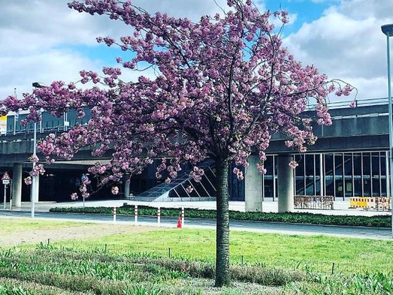 F81686EE13153BA87B97A6F9A877C98C