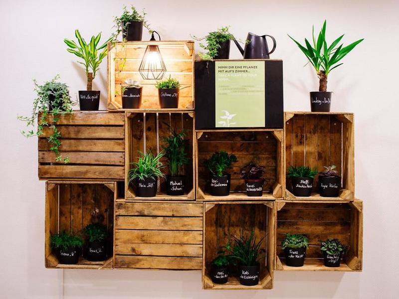 2917F04231651224379723644BB514B2