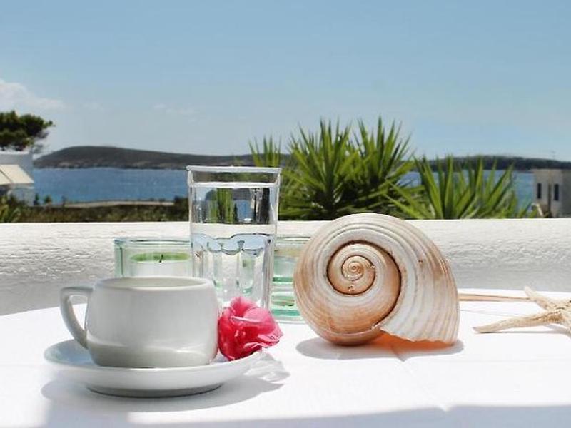 026DB072DA4A95BB57BF1D0E600B1616