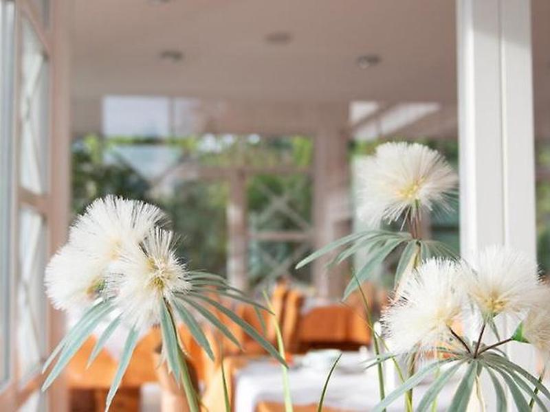 898D8EDD4C80EEC9F898066E46E41230