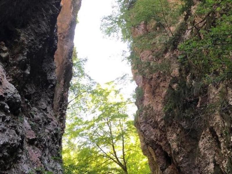 4A0CDAB4995F695CBCED0CF3359C995B