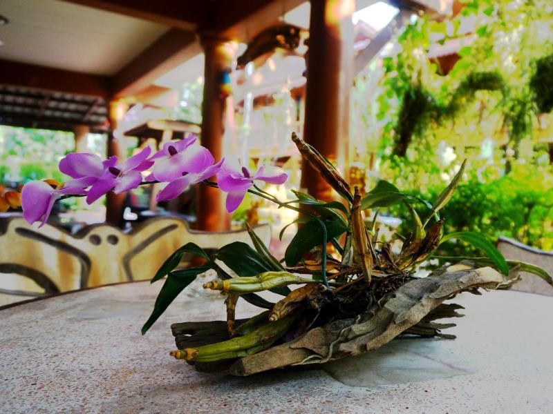 B22B18D261C9CC410602B84D609EF1E9