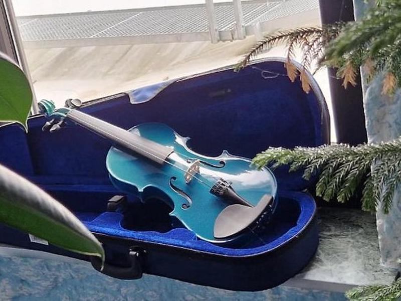 082FB5D7DA99E58BA22F586F24D433DE