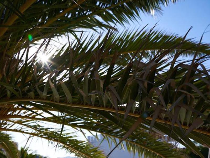 68049ACB0DC4BBB2A4EEFCF0FC4DA0A1