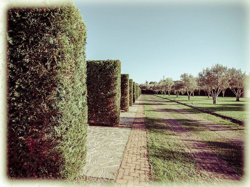 C9C0EED7F1E4A6B9A932ABCDD5EAEC12