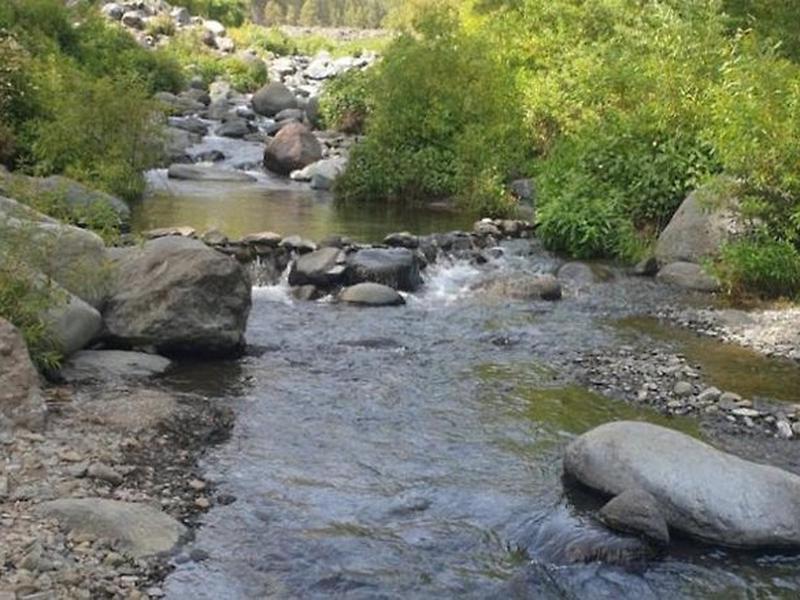 7A4EF4485DC591EC5E2908C48D2F36FB