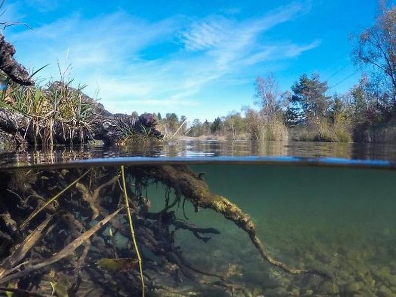 B5F8ACA87FD20B6A51A62F3844640B45