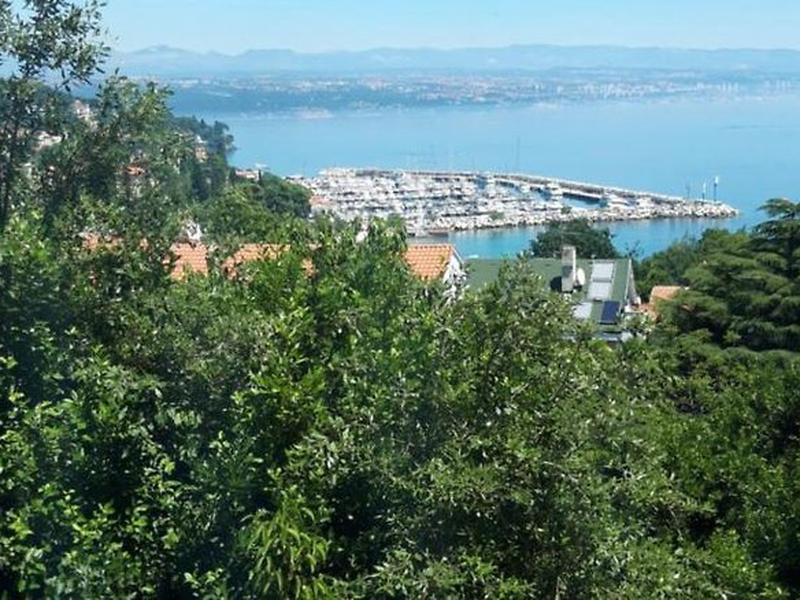 CE4B39B3A7A268D728C5E26E01F8F70C