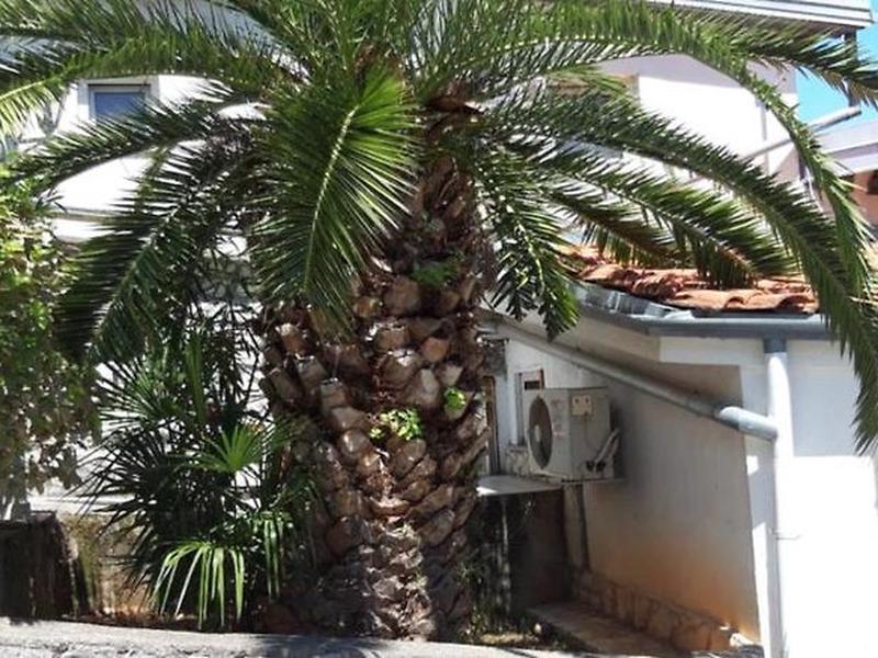 EE44943967E670FD3F4D397E6A3A742D