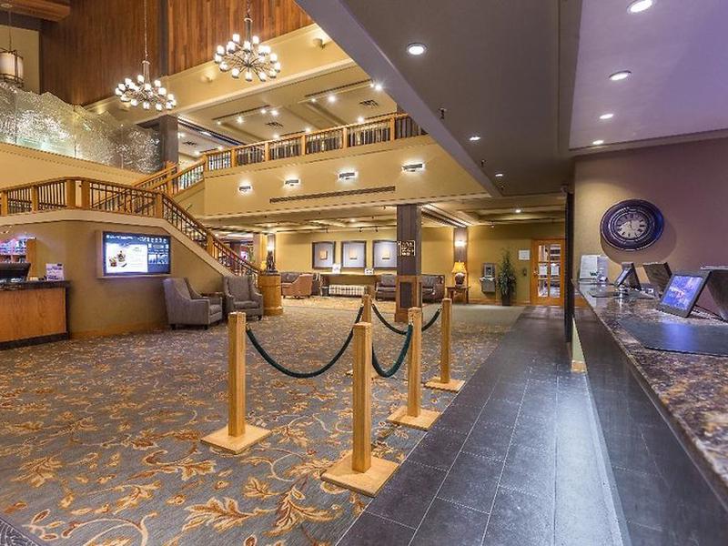 99EE4B87A8EC28B47A48CAF3A22FB981