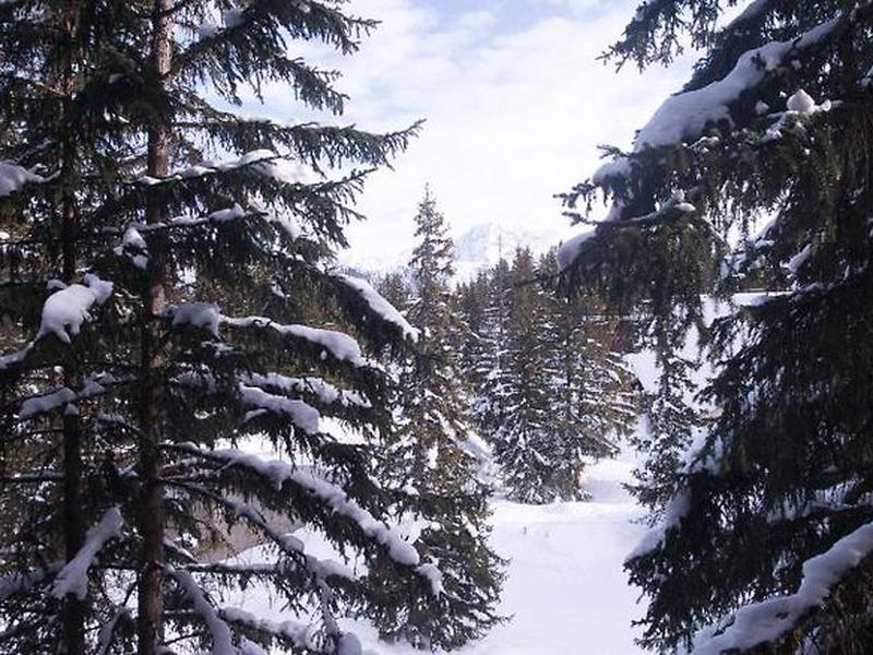 C37450C055FFC4AFC7A99891767645DB