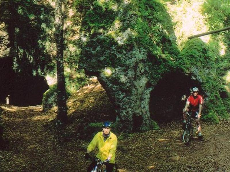 0F01EDD2C8B26E7B18EB1688189D2794