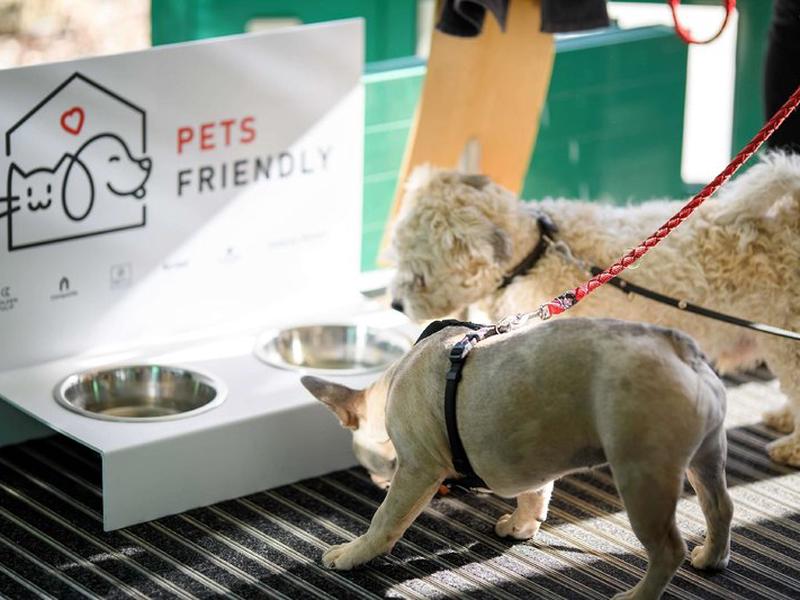 8E486BF814A5CA7E0AAC33EBD3216770