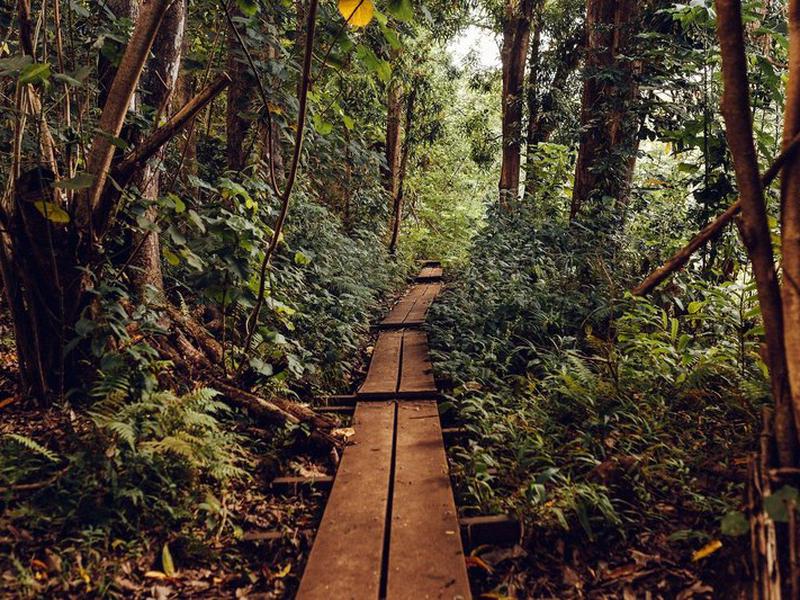 41FDD51E233FFFF2544411EDD1FFFDC2