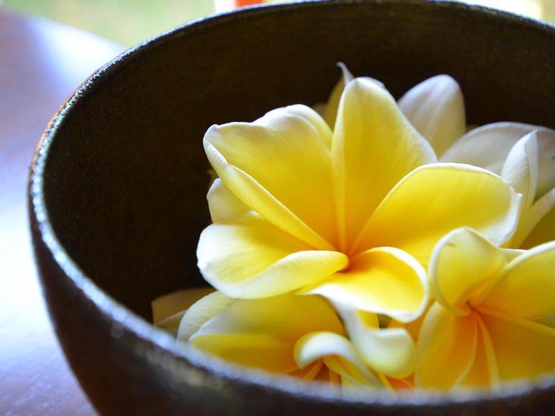 55C45473BE3625D730B953CD8E5A80B2