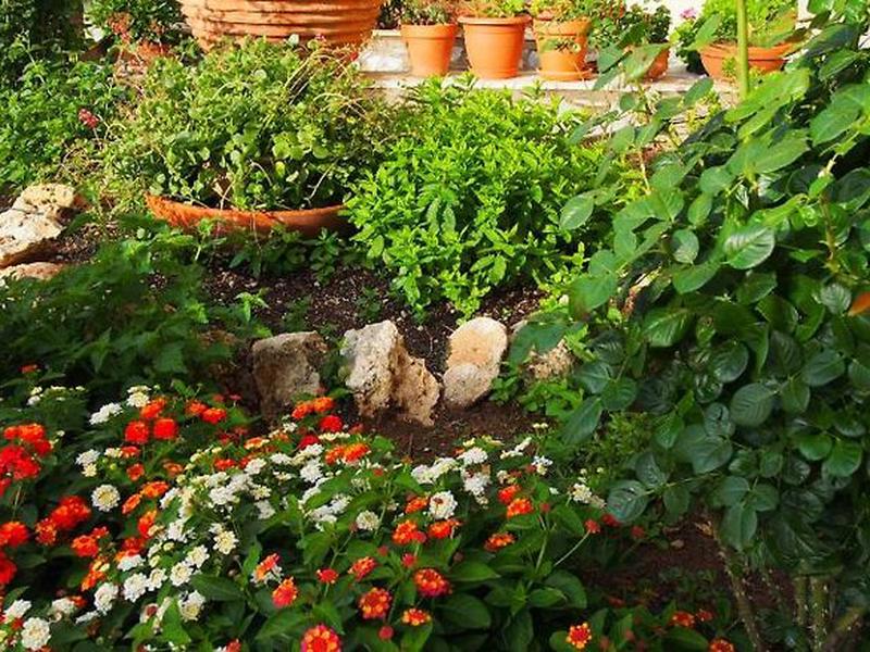 A2E18DB2FBC0A9E7B3E95E423F26CB96