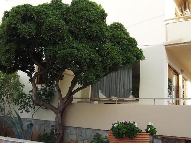 F40FB476BD6B55FEF5F58D8EF3D62CFF