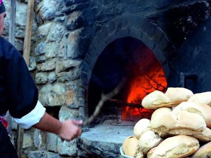 95AC6A034100D86EDD5EF07A2A42606C