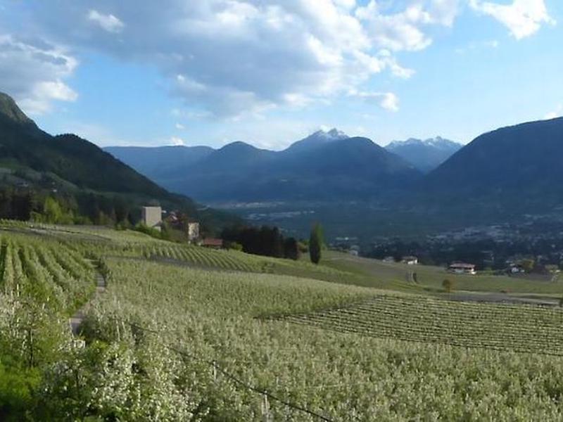 4E381F30D25B5399F29CE7B59CE4A92E