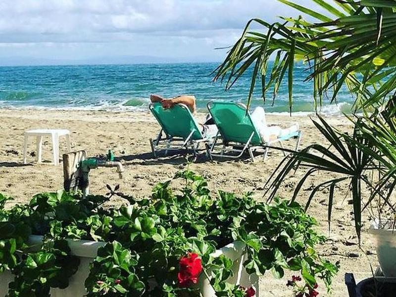 6E5613A85763E80C5FE82C0A7F9E6E61