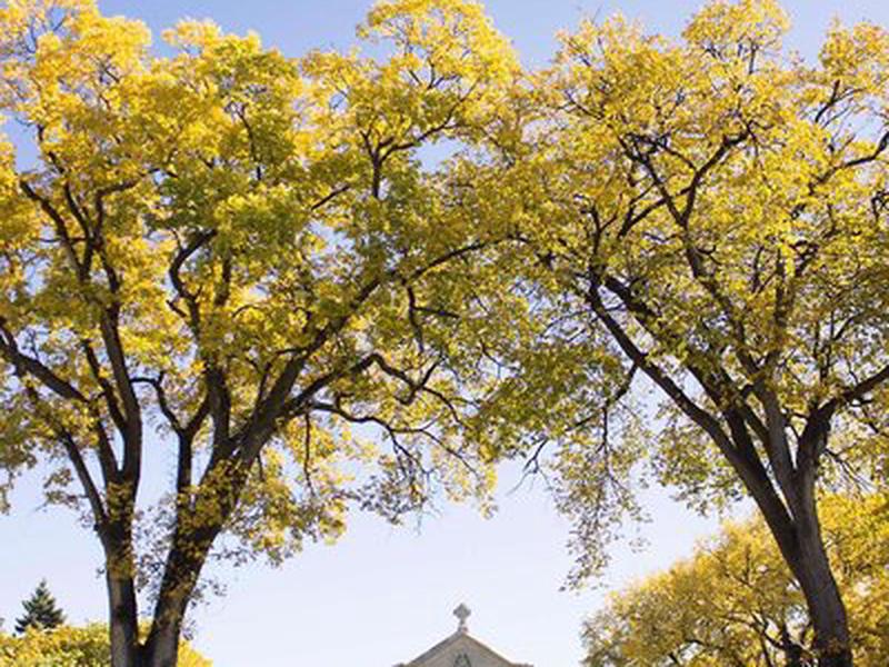 7D4085E2BEE42F659AE428A765E3EEAB