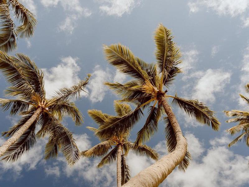 F737415787E4DA3F03C4A0481CA0D4CA