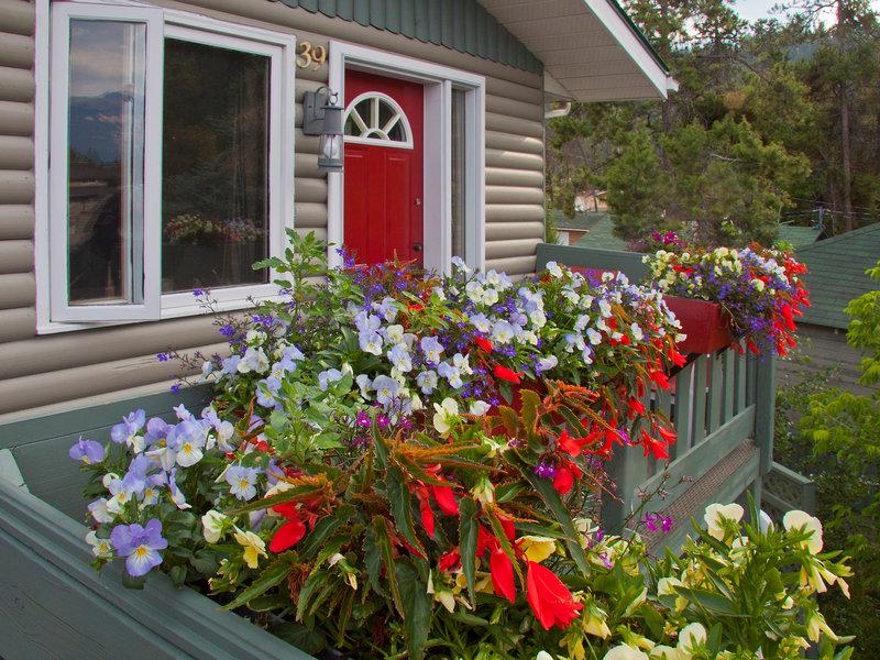 BDC6F79D7F58650731C8752414899630