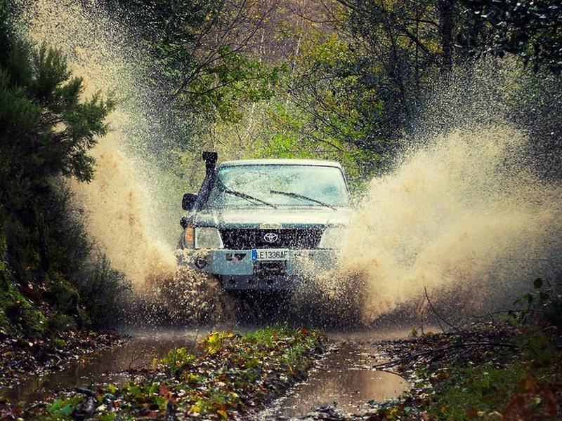 BD6ABB614AD5AC3EC67CC0D809A2981B