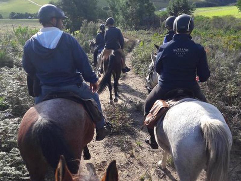 4D548BE1683D92EEBD082E20AA40DE52