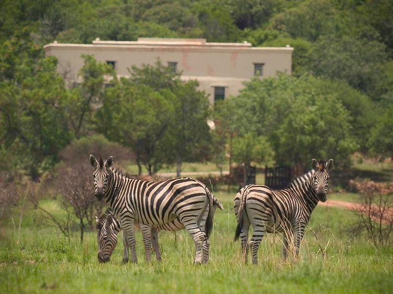 2675C520D091664764350D6F84C62E01