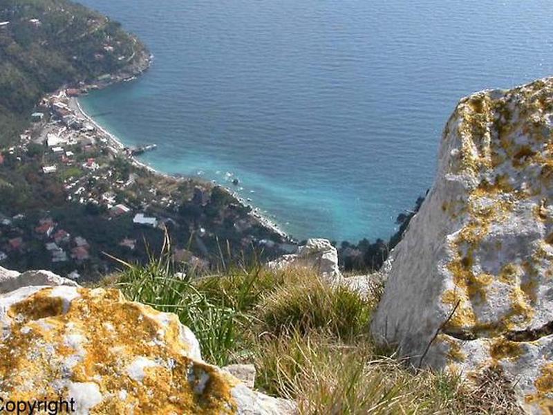 0E82C847C5563D7328263A11E057AEA7