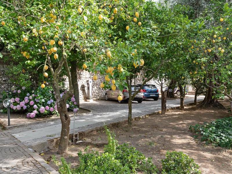 C9188202EBD16DFDB9EB7B46A4040F8D