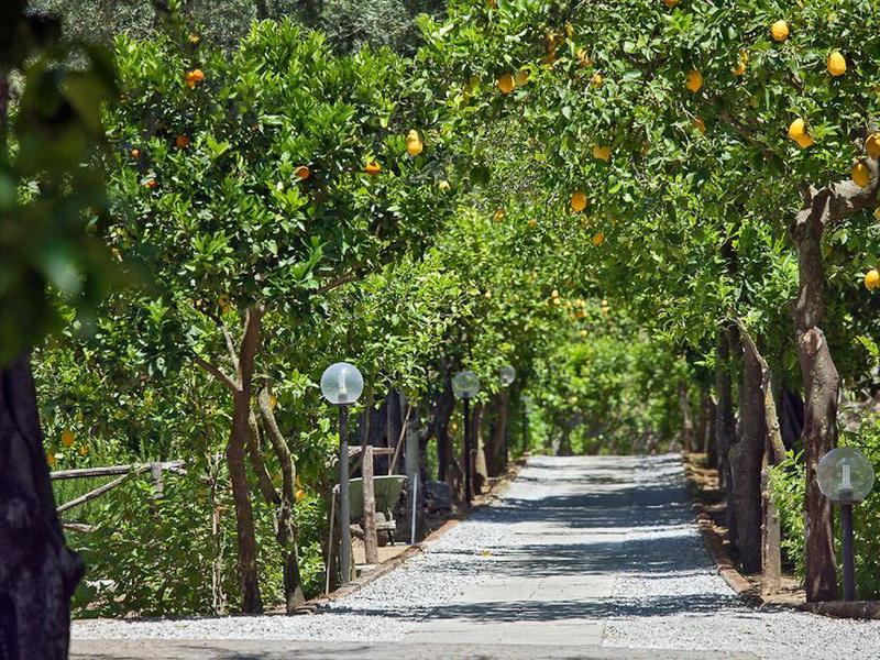 5C385EBCB2F19E3BE15B31DFB4285ACE