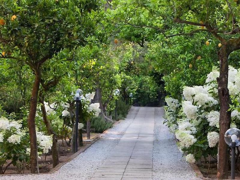 B9AD8FE9D132D41A6AF7F58D7A0F98F3