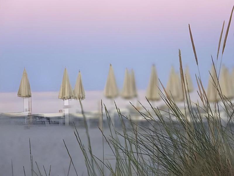 E480F07DDD55D52A7B21FC15B04AD285