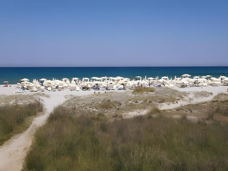 5B57A72B6DAD5BE9055CCA51DD4AF5D6