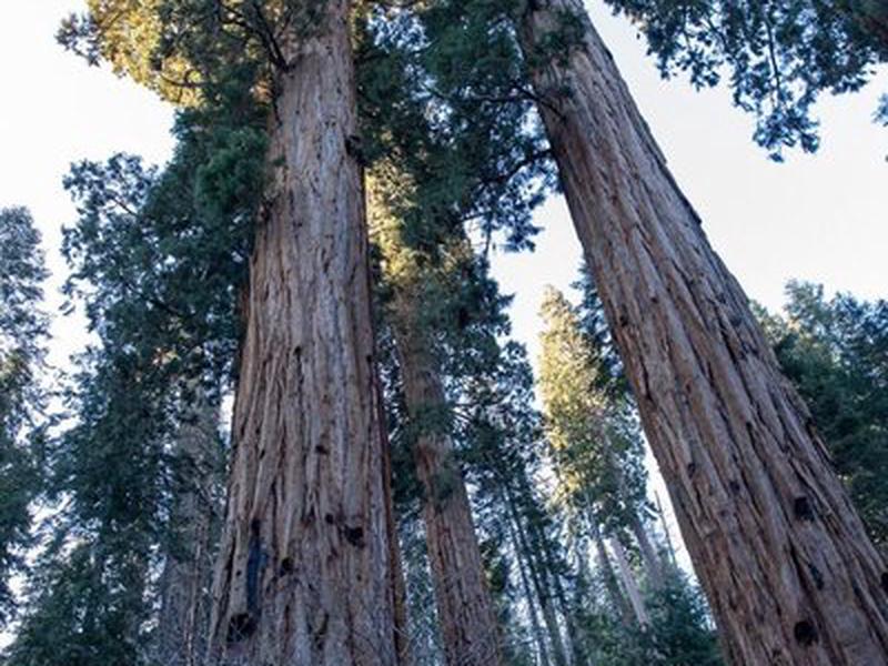 8EBEF20938A09634AB98B9B96CD9E594