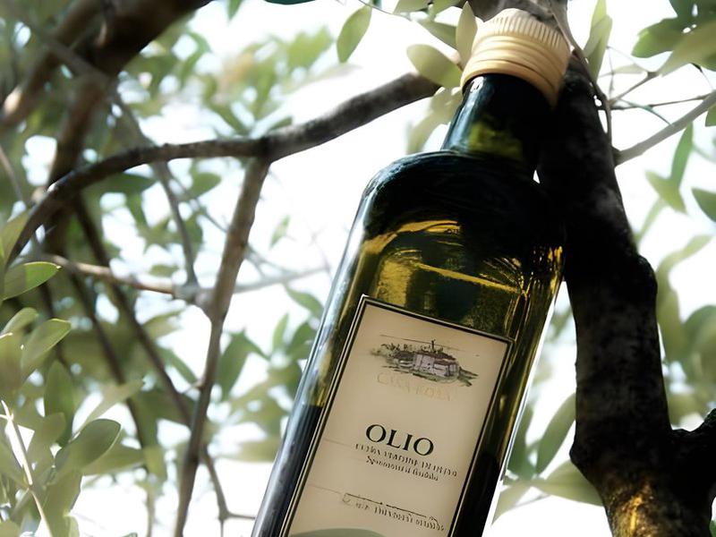 9A51D27E318A9F97B4DA731960F0E3FE