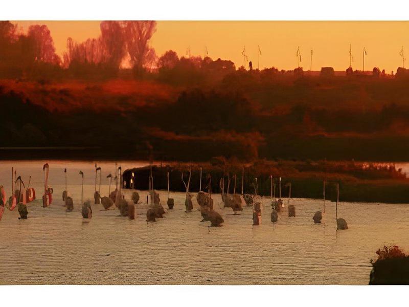 2F94215CBC63A8123BC2A44A5203D205