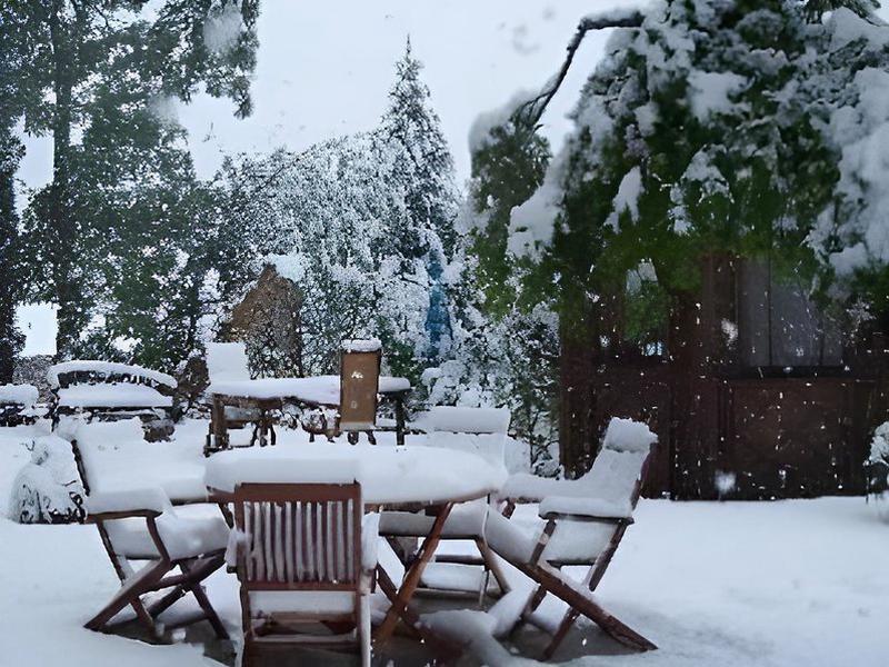 B5CC2991CBB8E9312177F6C72B26C85E